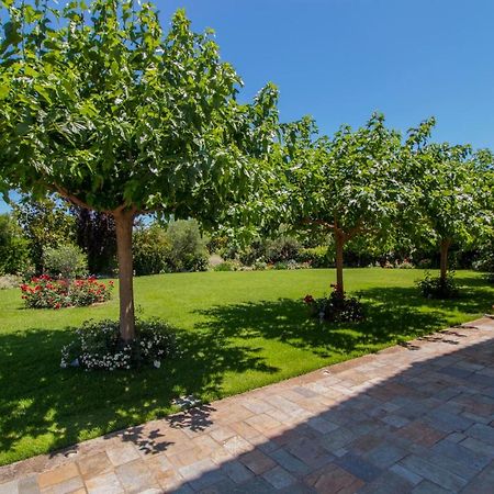 Villa Rodoula In Mystras Σπάρτη Εξωτερικό φωτογραφία