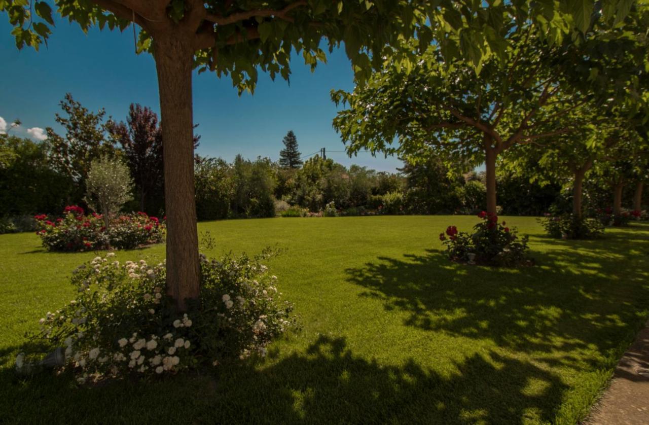 Villa Rodoula In Mystras Σπάρτη Εξωτερικό φωτογραφία